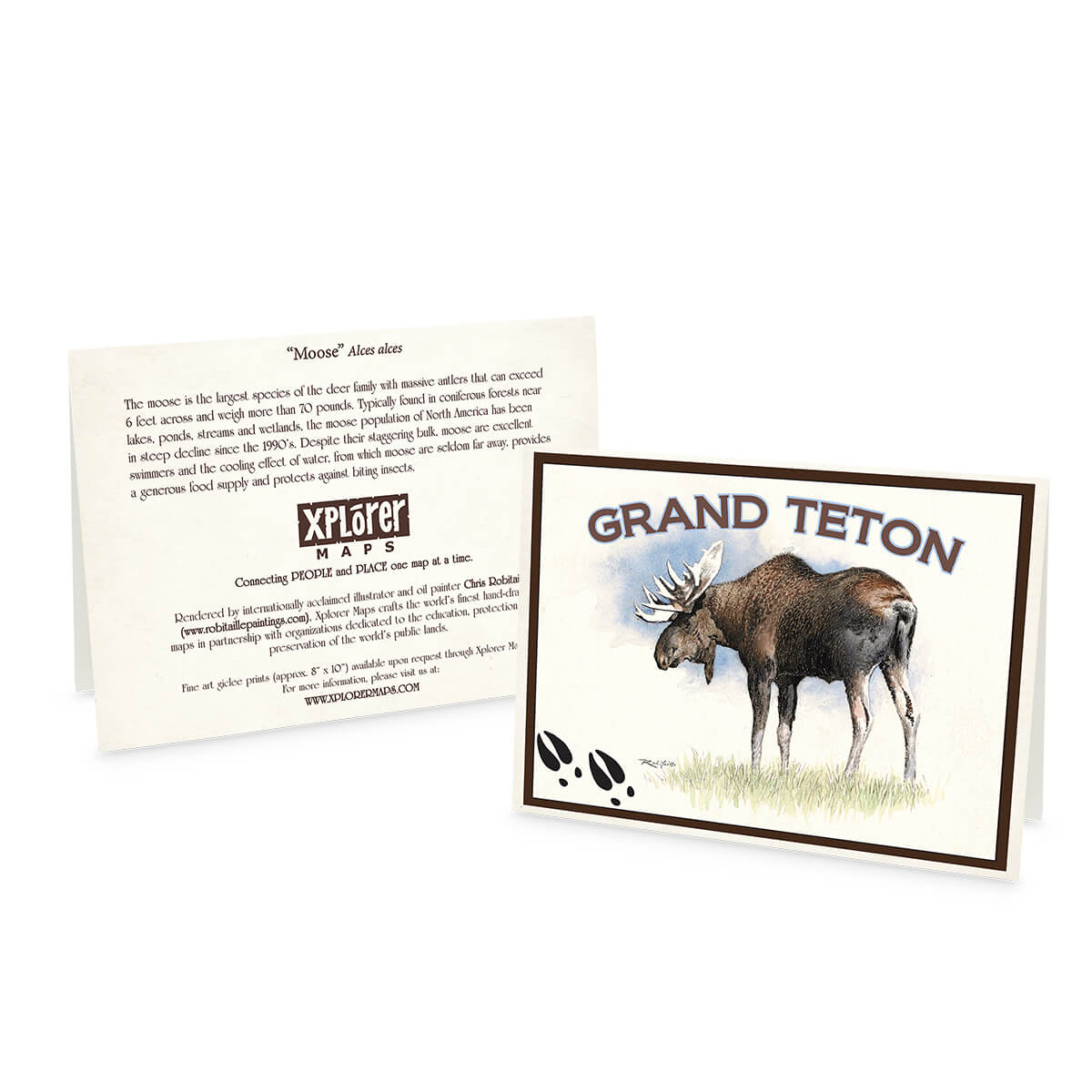 Grand Teton Notecards - Set of 6