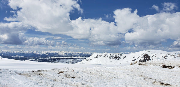 Maps for Montana Wilderness - Xplorer Maps