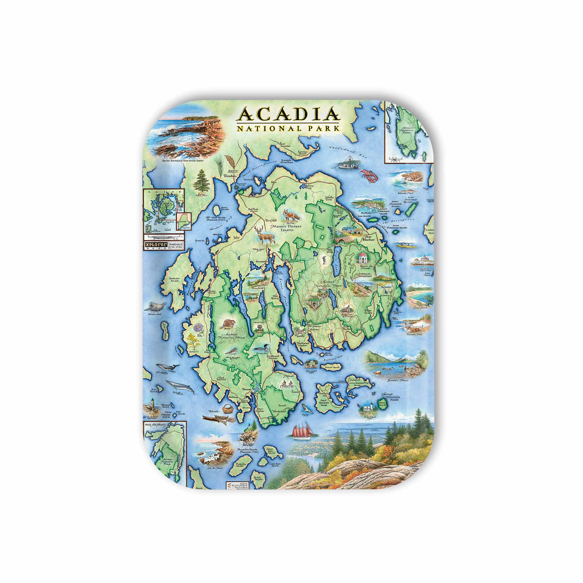 Medium Serving Tray Map of Acadia National Park with colorful illustration on a white background