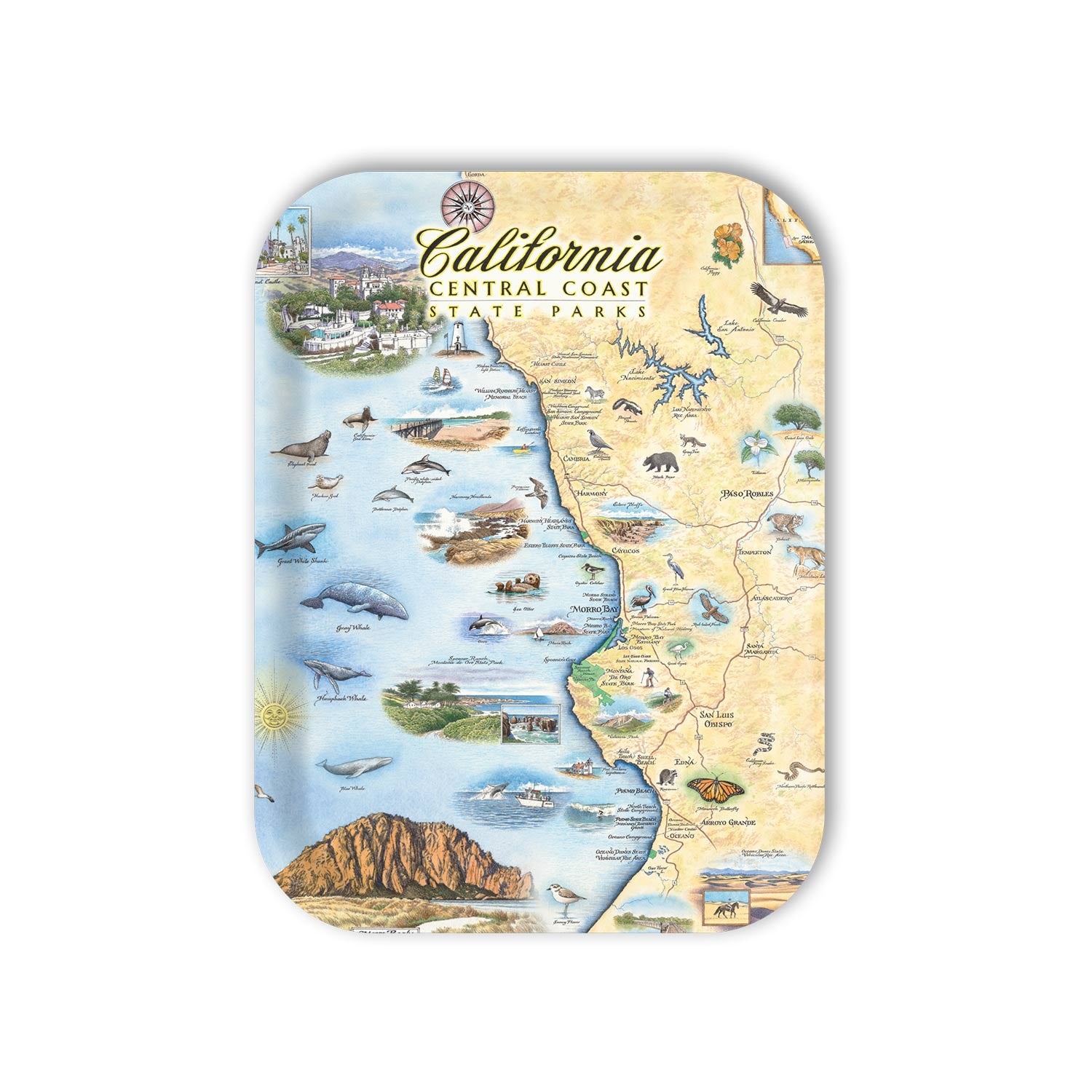Medium Rectangle Serving Tray Map of California Central Coast State Parks with illustrations and text