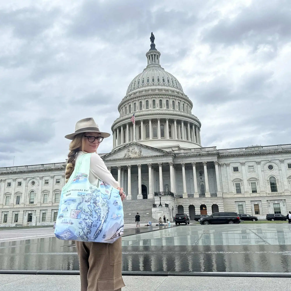 A women standing in front of the Capitol building. She is carrying  a Chesapeake Bay pouch tote bag. 