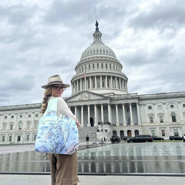 A women standing in front of the Capitol building. She is carrying  a Chesapeake Bay pouch tote bag. 
