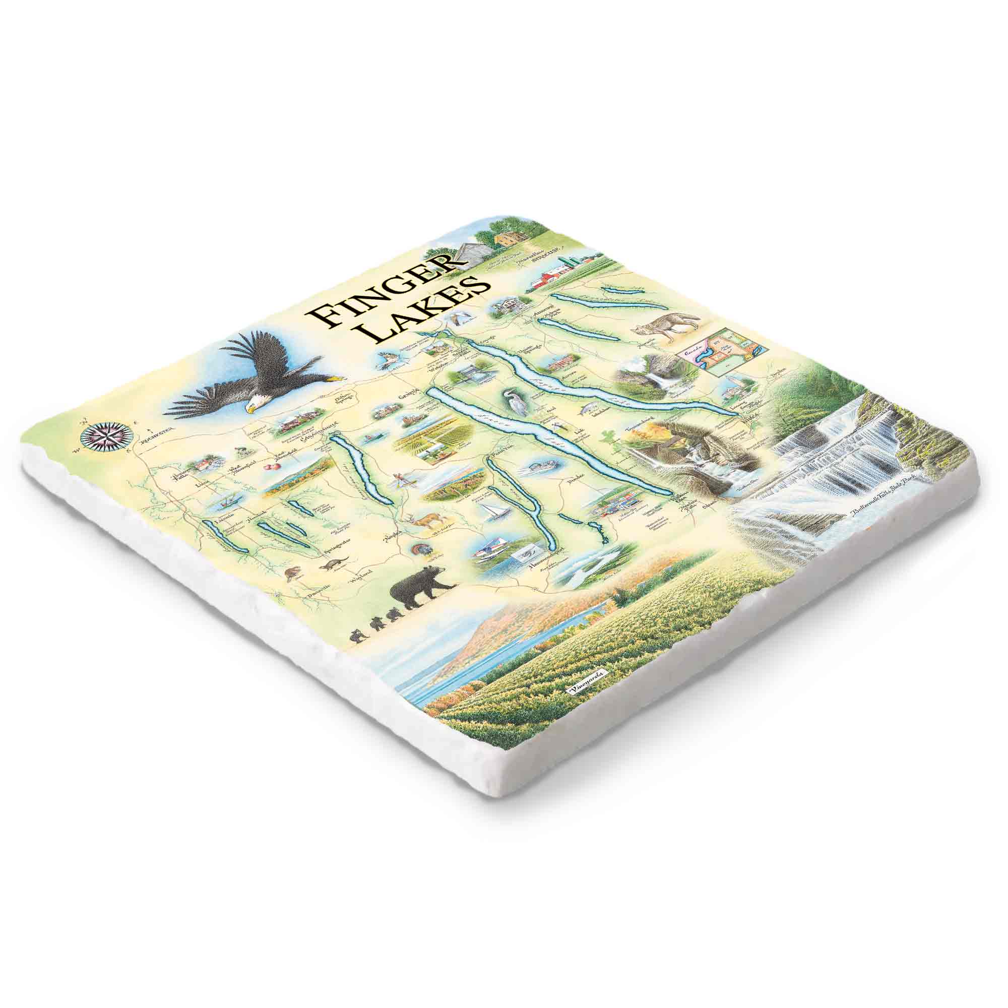 Hand-drawn Finger Lakes map on a 6x6 natural stone trivet by Xplorer Maps.