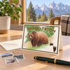Grand Teton Notecards - Set of 6