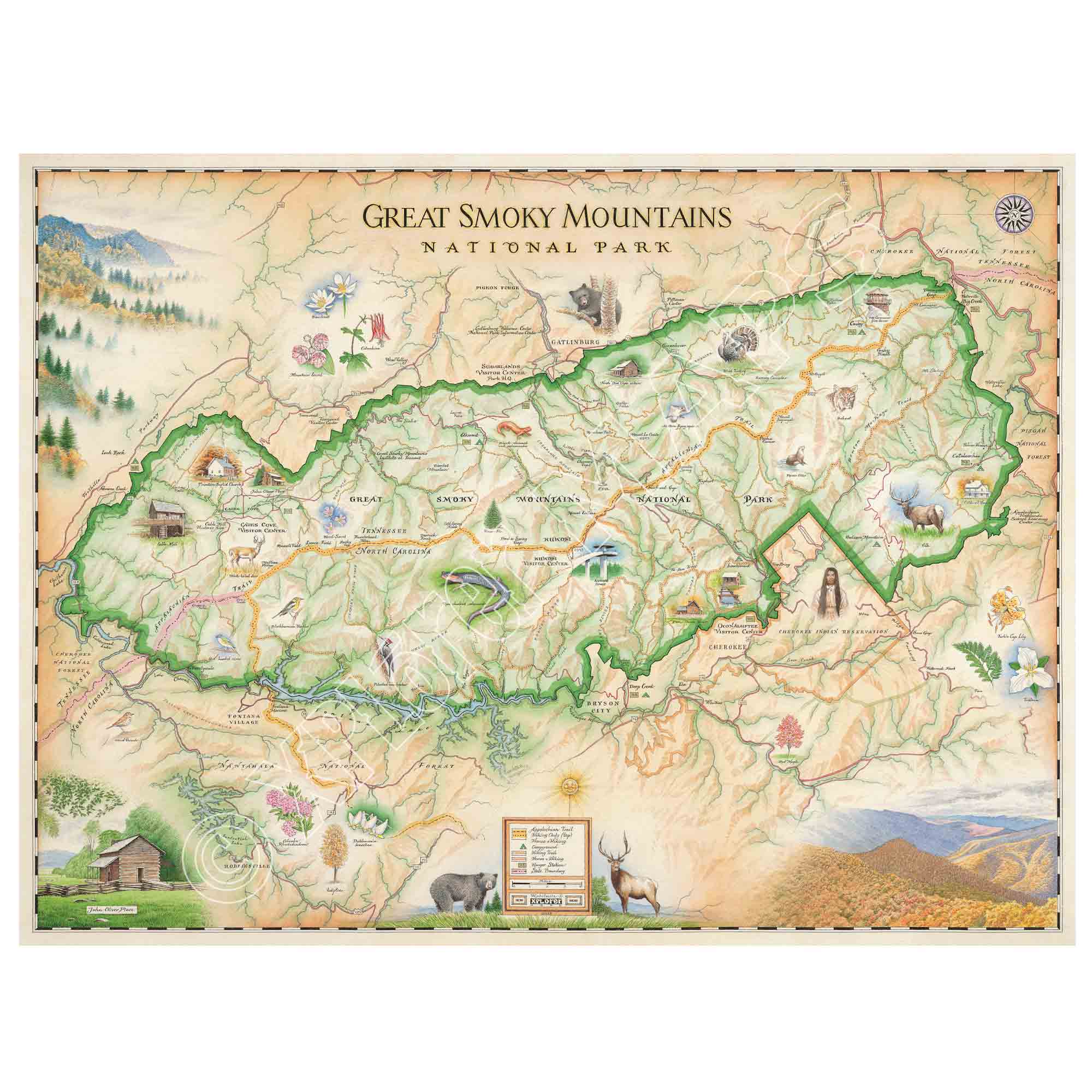 Great Smoky Mountains National Park hand-drawn map in earth tones colors beige and green. The map depicts the entire National Park on the border of North Carolina and Tennessee. It features illustrations of salamander, woodpecker, Clingman's Dome, Sugarland's Visitor Center, Oconoluftee Visitor Center. Measures 24x18.
