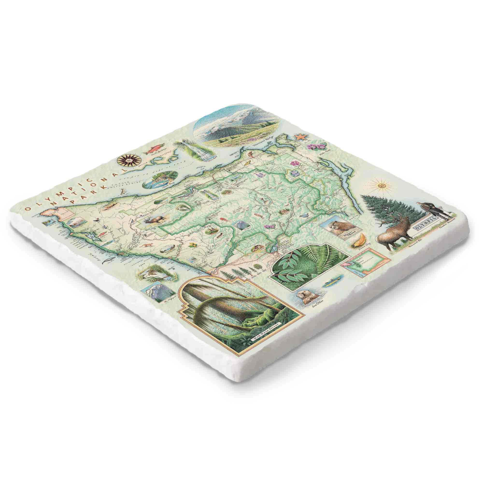 Olympic National Park hand-drawn marble trivet by Xplorer Maps – 6x6.