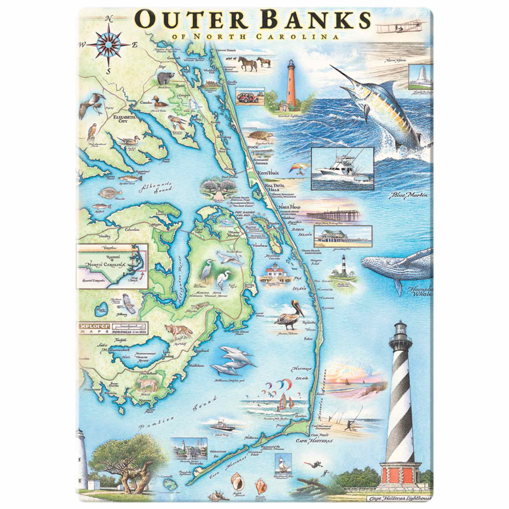 Outer Banks, North Carolina magnet. This coaster showcases scenic beach vistas, lighthouses, marine life, and cities like Kitty Hawk, Nags Head, and Kill Devil Hills. Designed in coastal colors of blues and greens.