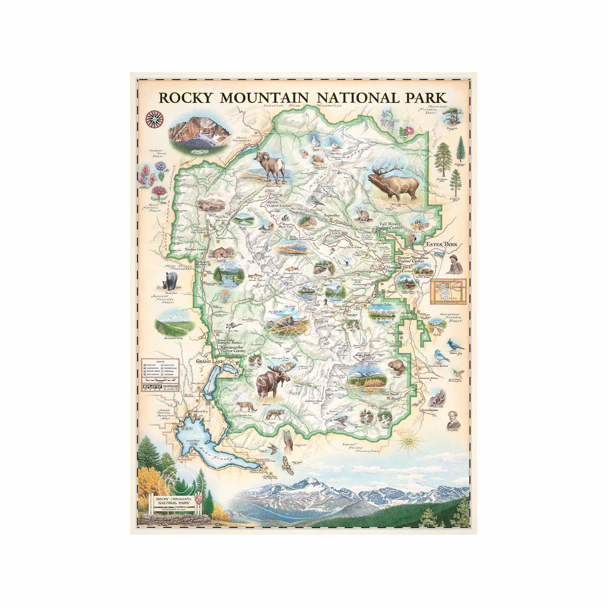 Hand-drawn map of Rocky Mountain National Park in earth tones, featuring Trail Ridge Road, Mount Ganby, Estes Park, and Alpine Visitor Center illustrations. Flora and fauna like bobcat, snowshoe hare, Indian paintbrush, and wild rose depicted. Measures 18x24 inches.