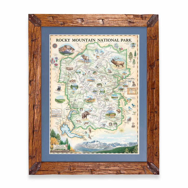 Hand-drawn map of Rocky Mountain National Park in a pine frame with blue mat, showcasing earth tones of green and beige. Illustrations feature landmarks such as Trail Ridge Road, Mount Ganby, Estes Park, and Alpine Visitor Center, alongside flora and fauna like bobcat, snowshoe hare, Indian paintbrush, and wild rose. Dimensions: 18x24 inches.