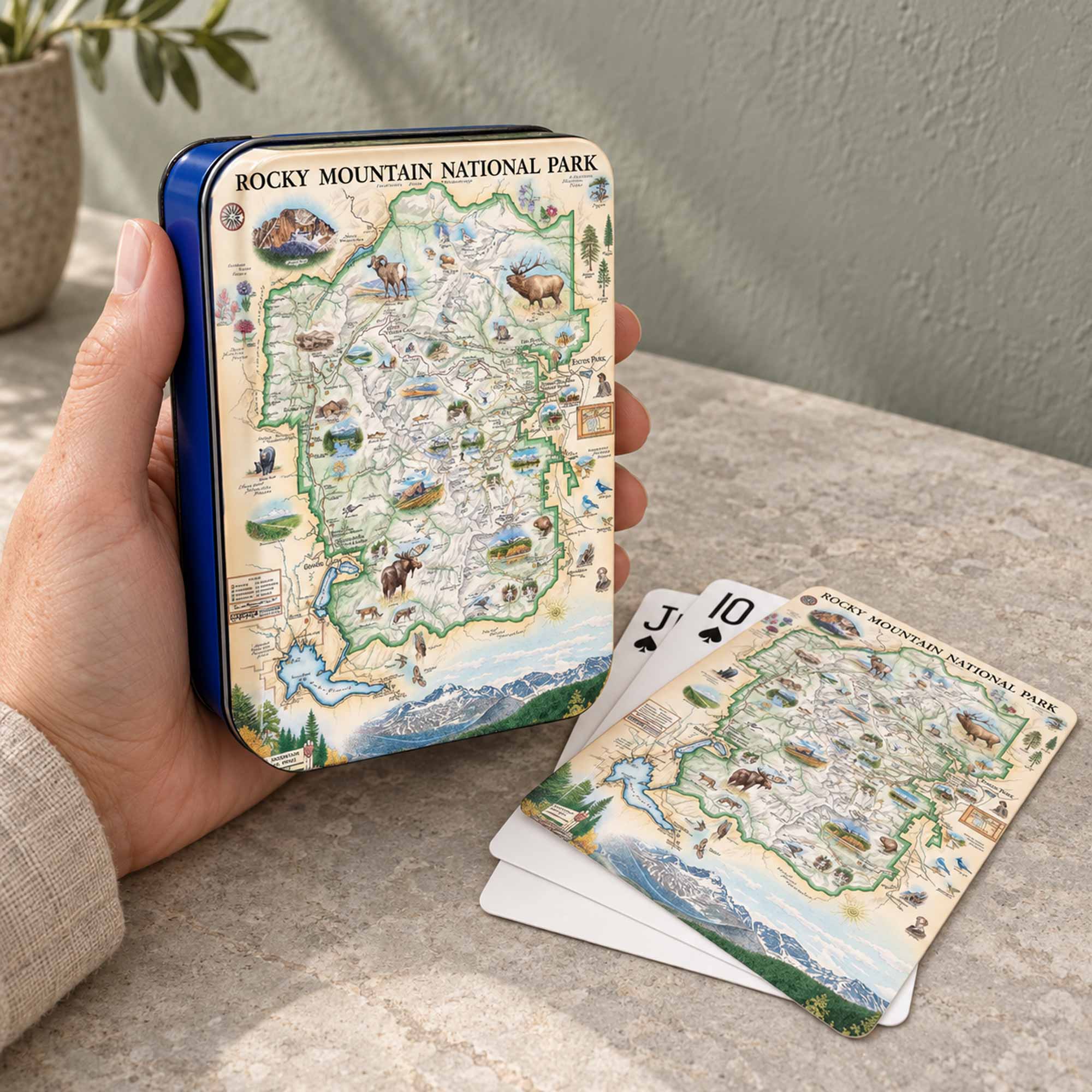 A hand holds a blue metal tin containing illustrated playing cards themed around Rocky Mountain National Park. Several cards are fanned out on a stone tabletop, with a plant and textured wall in the background.