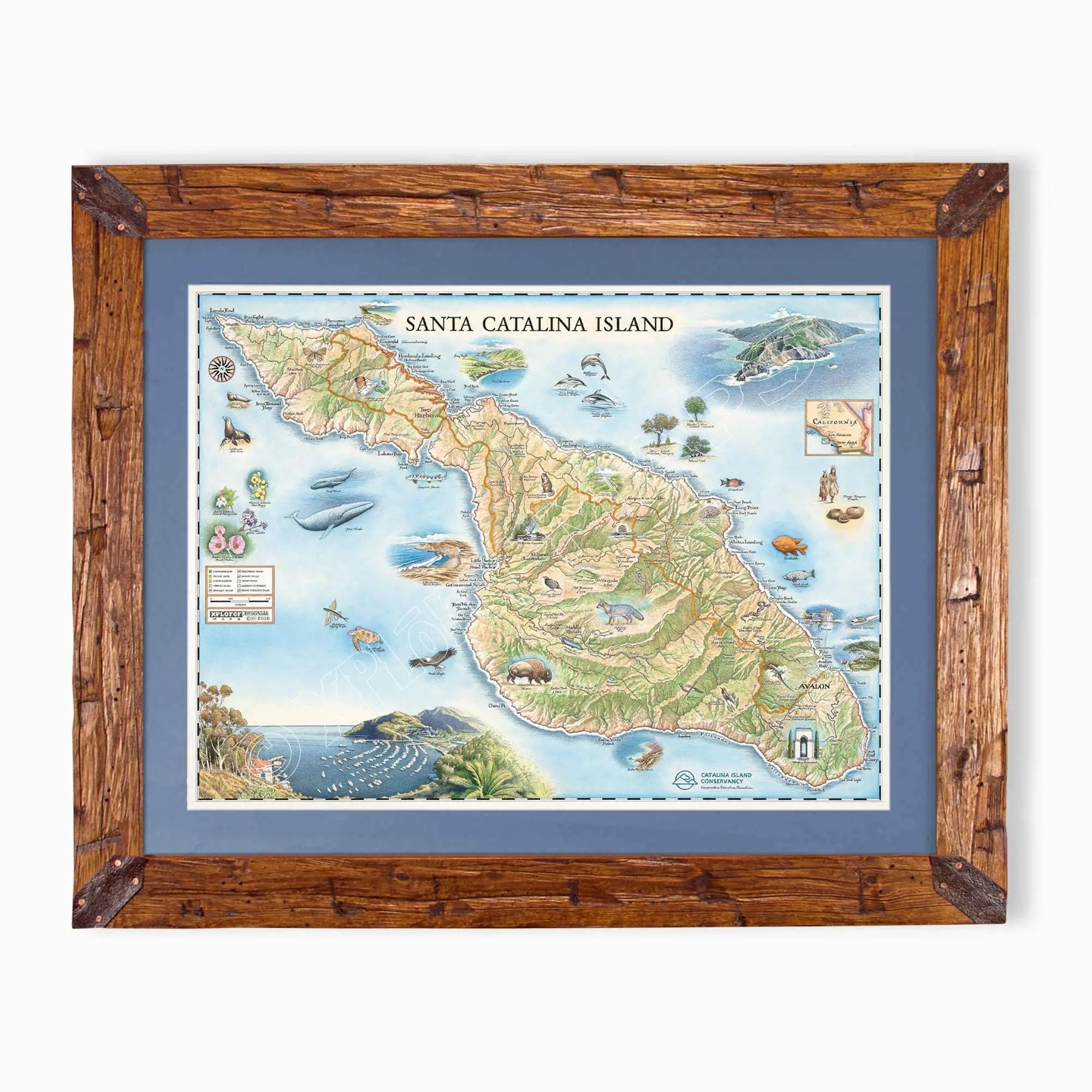Framed Santa Catalina Island map print with a rustic wooden frame and blue mat, shown against a plain white background.