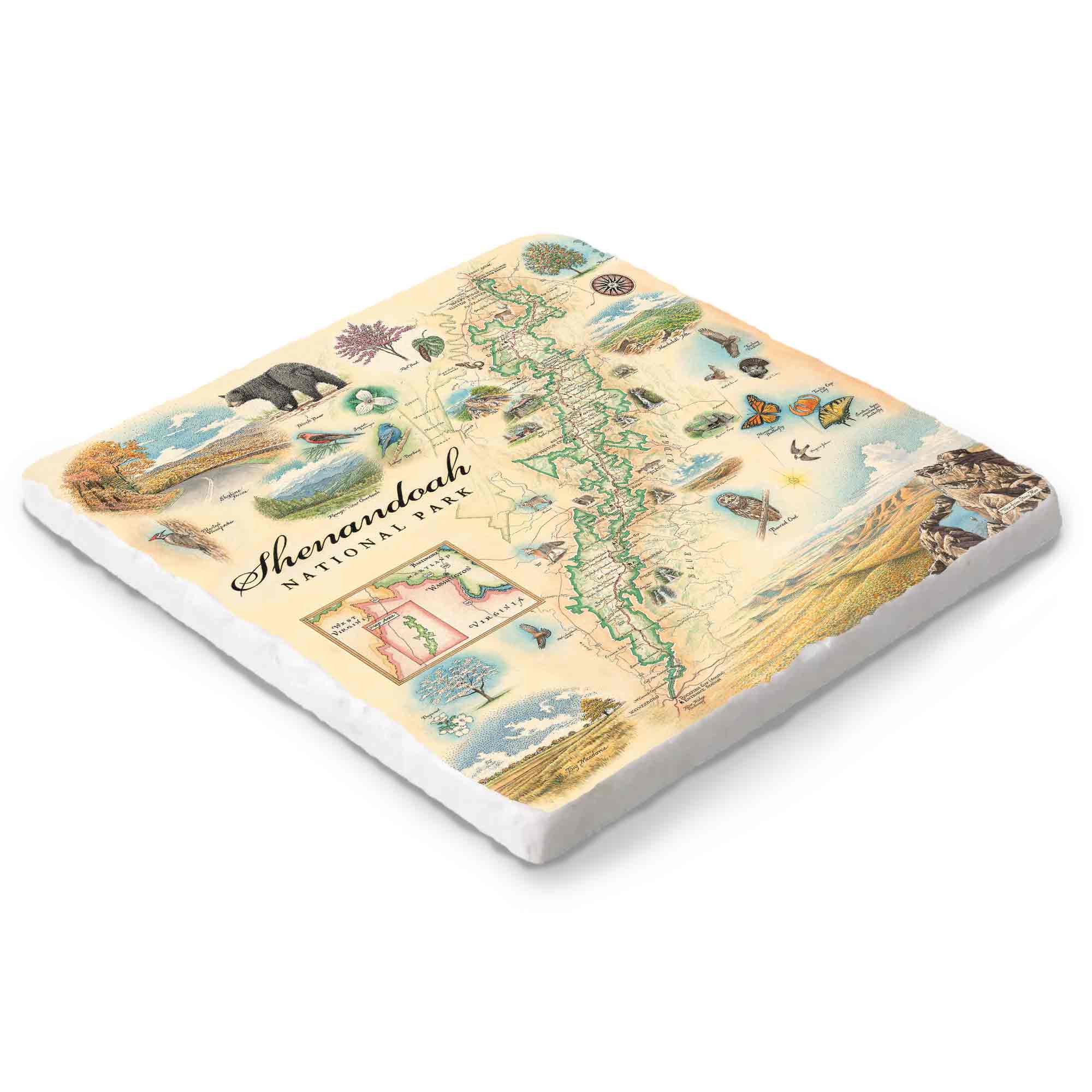 Shenandoah National Park hand-drawn marble trivet – Xplorer Maps 6x6