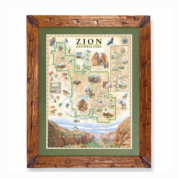 A framed illustrated map of Zion National Park, shown against a plain white background. The map features a cream-colored background with green outlined regions, detailed wildlife and geology illustrations, and a rustic brown wooden frame with dark metal corner brackets.