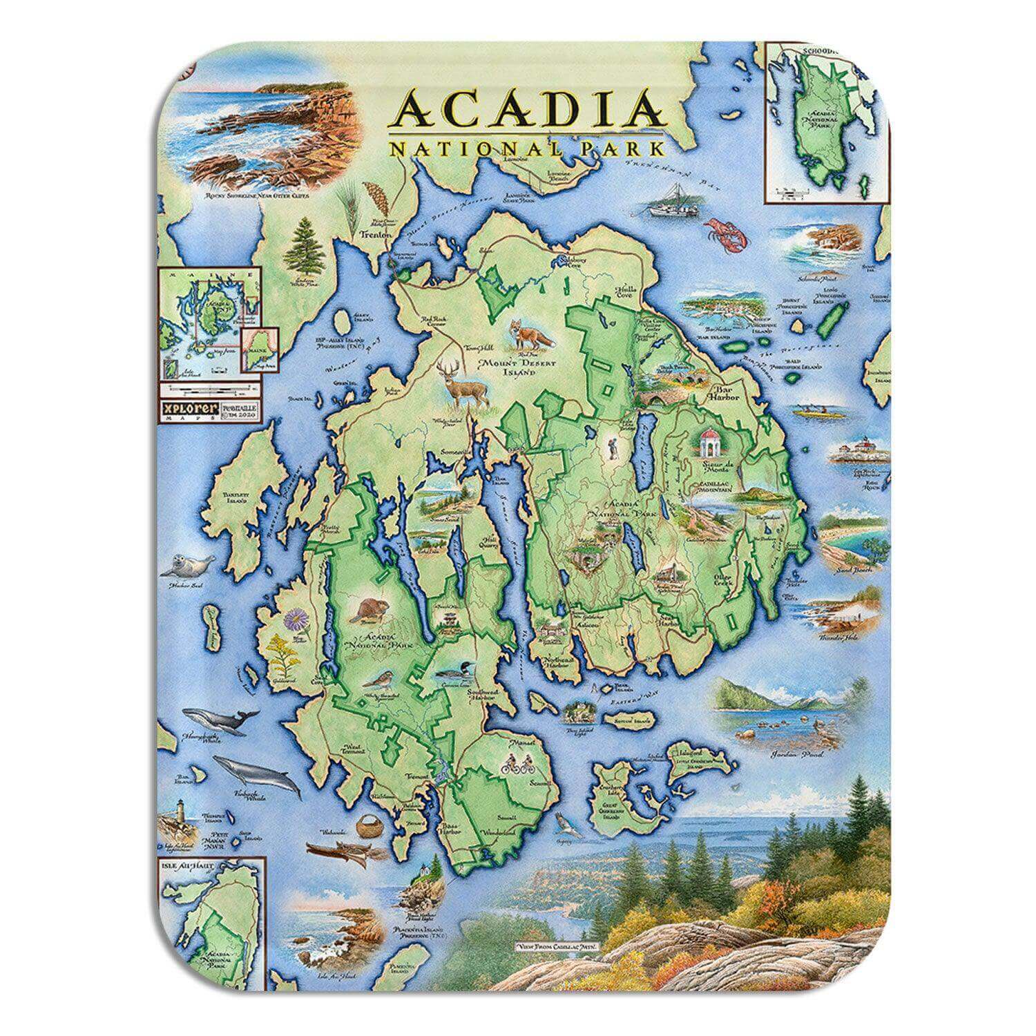 A handcrafted birchwood serving tray featuring a hand-illustrated map of Acadia National Park by artist Chris Robitaille, with a durable matte melamine finish.