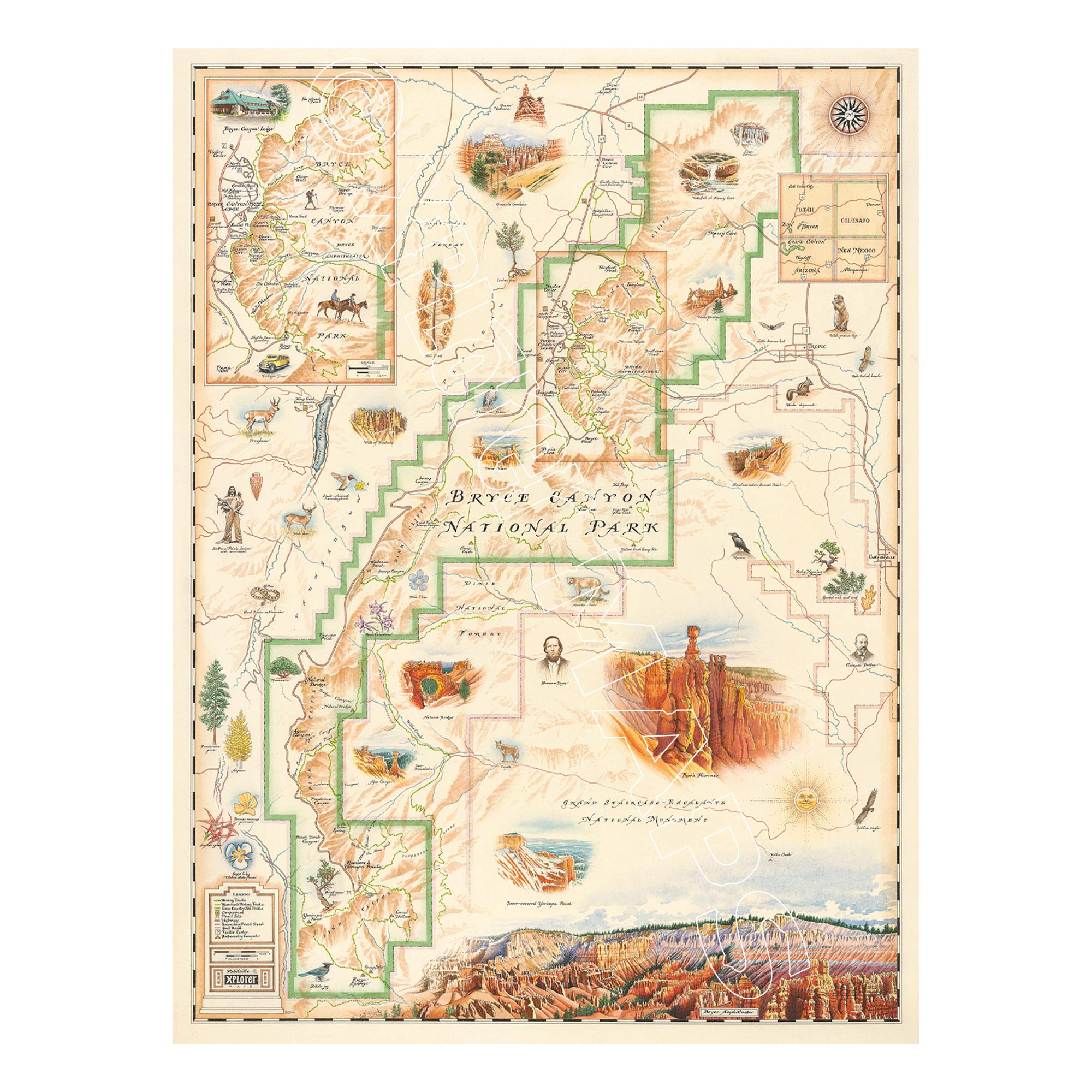 Bryce Canyon National Park Map Hand-Drawn Map in earth-tone colors featuring canyons, horseback, hoodoos, Rim Trail, Sunrise Point, Sunset Point, Inspiration Point, Bryce Point, Thor's Hammer, and Bryce Amphitheater. Measure 24x18.