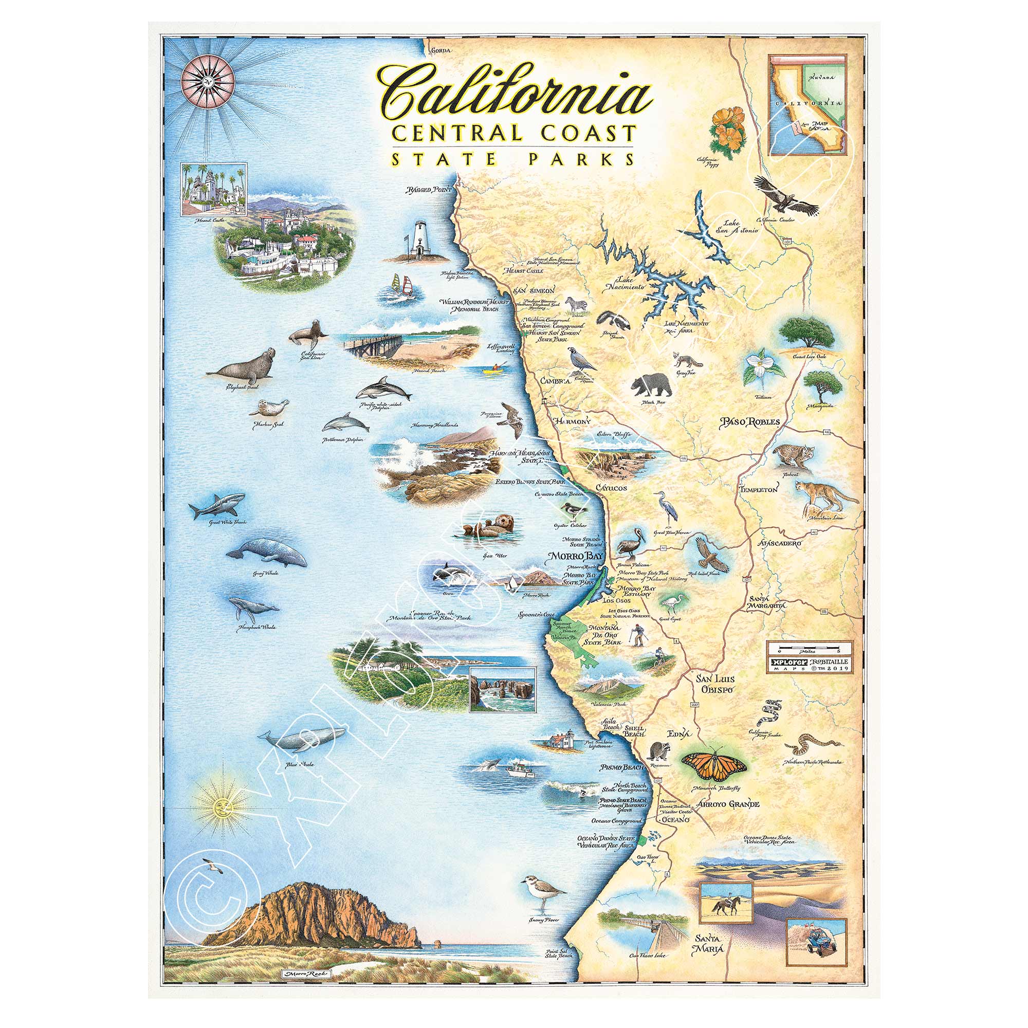 A colorful hand-drawn map of California's Central Coast state parks, featuring various landmarks and wildlife, set against a light background.