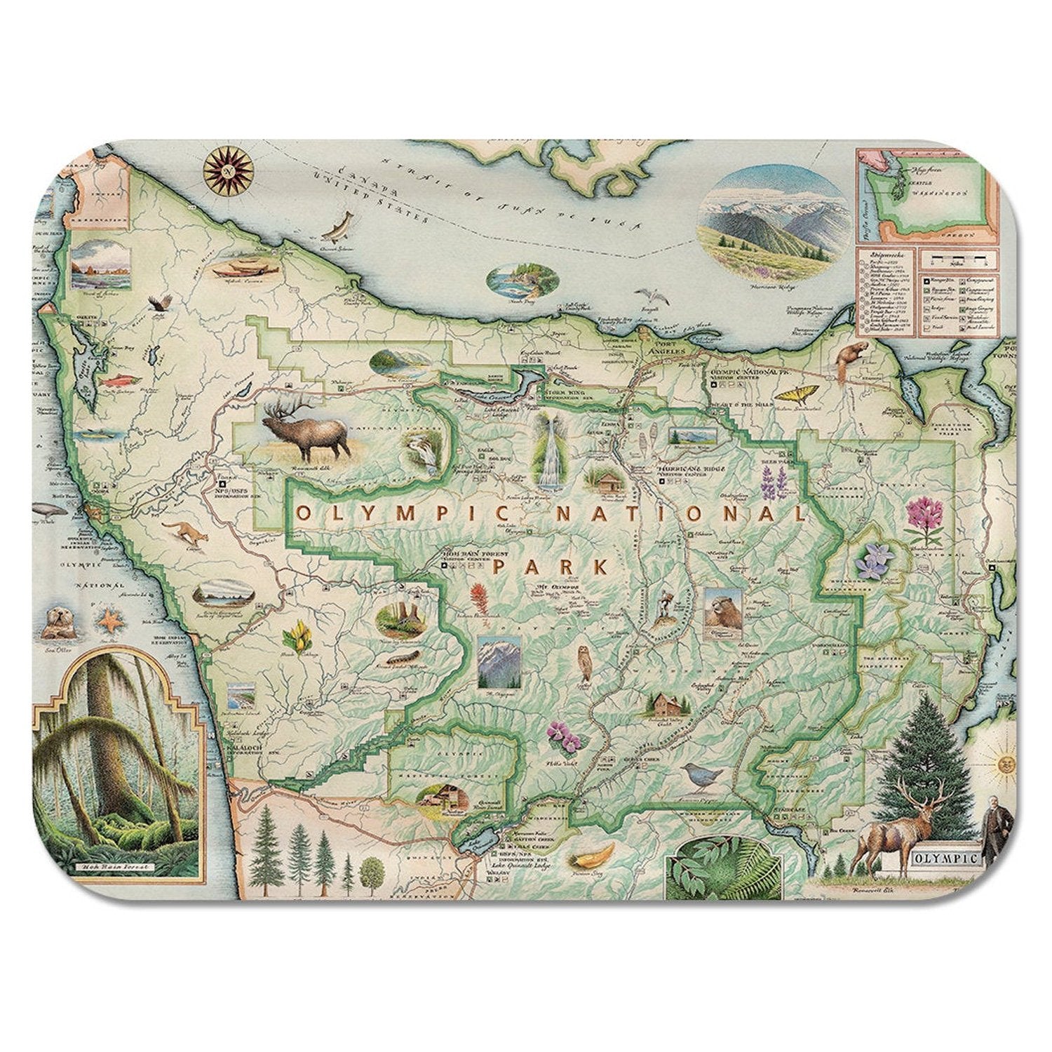 A handcrafted birchwood serving tray featuring a hand-illustrated map of Olympic National Park by artist Chris Robitaille, with a durable matte melamine finish.