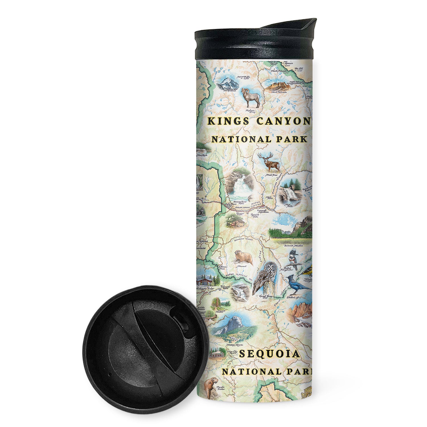 Sequoia and Kings Canyon National Parks 16 oz travel Bottle in earth tones. The map features illustrations of the Giant Forest, Mount Whitney, and the John Muir Lodge. Flora and fauna include mule deer, red fox, Sierra Purple shooting star flowers, and California poppy.