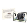 Wildlife Notecards - Sets of 6