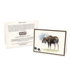 Wildlife Notecards - Sets of 6